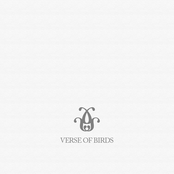 Verse of Birds