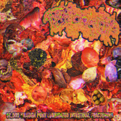 50,000 Kilogon Puke Lubricated Intestinal Fracturing