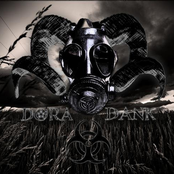 Sunflowers and Sinners