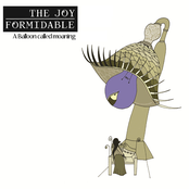 While The Flies by The Joy Formidable