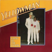 No Lucky In Gambling by Yellowman