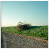 Back Together Forever