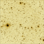 I Swore I Heard Snow