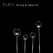 Never Again by Flats