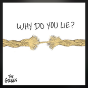 The Grinns: Why Do You Lie?