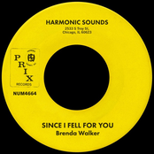 Since I Fell For You - Single