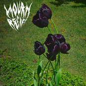 Mourn Recif