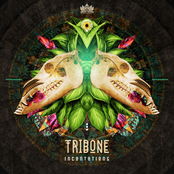 Tribone: Incantations