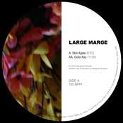 Skin Again/Color Key