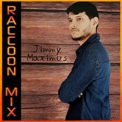 Raccoon Mix (Remix)
