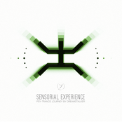 Sensorial Experience