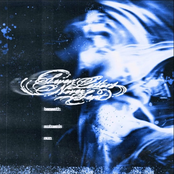 Beneath Autumn's Sun