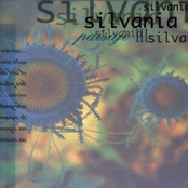 Raymi 1 by Silvania