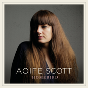 Aoife Scott: Homebird