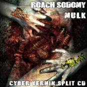 Cyber Vermin split CD