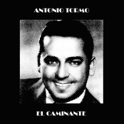El Caminante