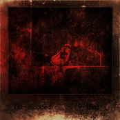 Oil-Blooded Bird