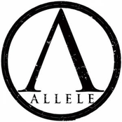 Allele: Allele - EP