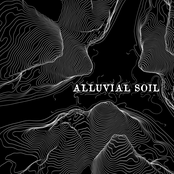 Alluvial Soil