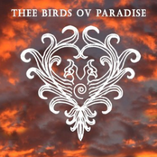 Thee Birds Ov Paradise