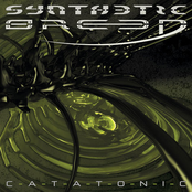 Catatonic by Synthetic Breed