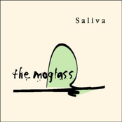 saliva