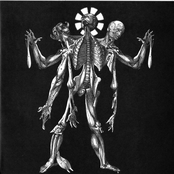 grind crusher / haemophagus