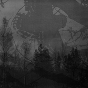 Inmitten des Waldes/Mortualia