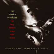 Outlaw Blues by The Dream Syndicate