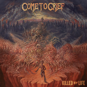 Come To Grief: Killed By Life
