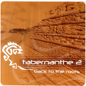 Tabernanthe 2 Back to the Root
