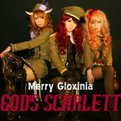Merry Gloxinia
