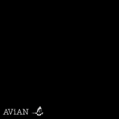 AVN002