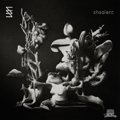 Shadient: Infinite Structure EP