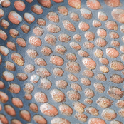 Into It. Over It. & Hikes Present: Reciprocity