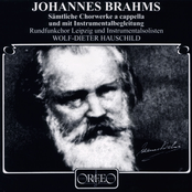 Brahms: Sämtliche Chorwerke a cappella und mit Instrumentalbegleitung