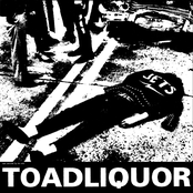 toadliquor