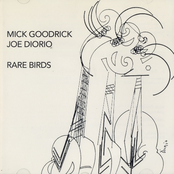 Rare Birds