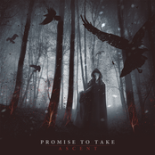 promise to take