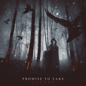 Promise To Take