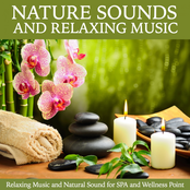 Nature Sound and Music Relaxation (Relaxing Music and Natural Sound for SPA and Wellness Point)