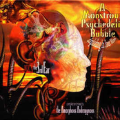 The Amorphous Androgynous-A Monstrous Psychedelic Bubble Vol. 3 The 3rd Ear