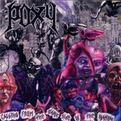 Calling From the Dark Side Of The Nation