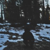 The Day You Killed Yourself