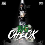 Big Check