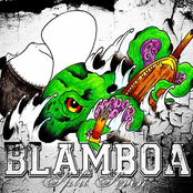 BLAMBOA 7" split