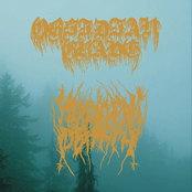 Bringers of Cascadian Death