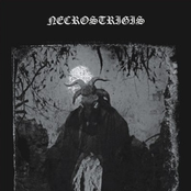 Nightwinds of Necrolatry