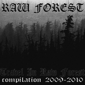 Raw Forest