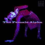 The Female Alpha